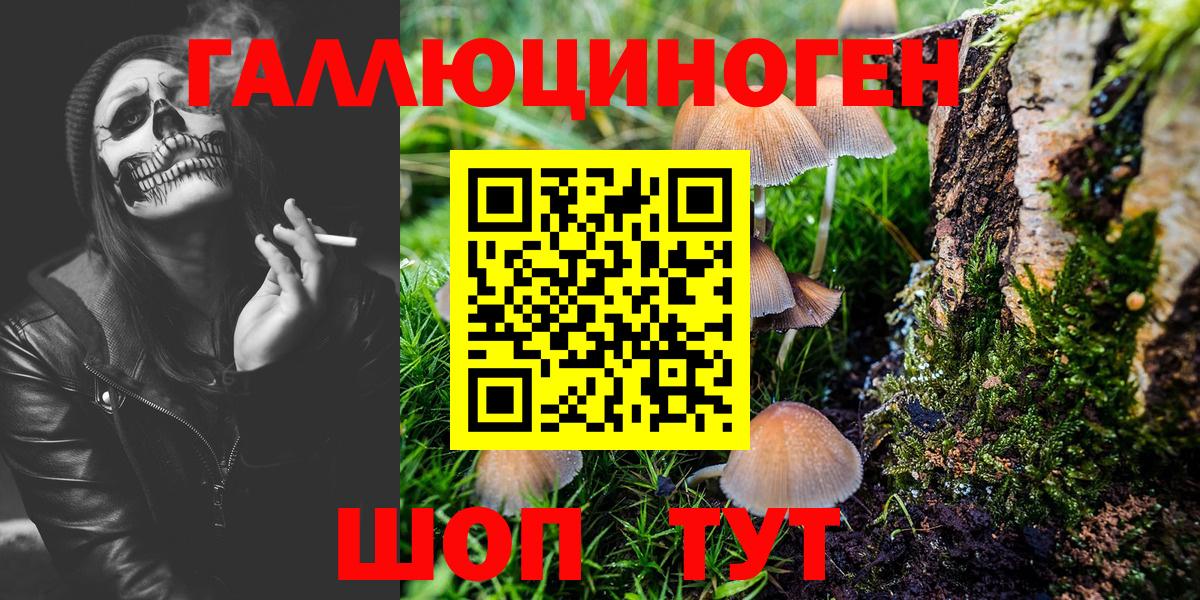 Псилоцибиновые грибы GOLDEN TEACHER Новочеркасск