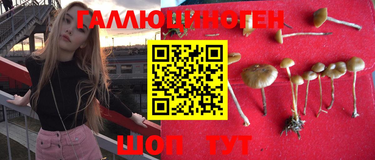 Новочеркасск  Галлюциногенные грибы Psilocybe  Вход с VPN 